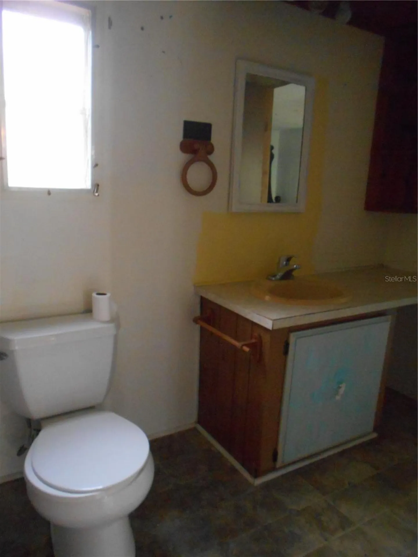 20425 NE 143rd Street Salt Springs FL 32134