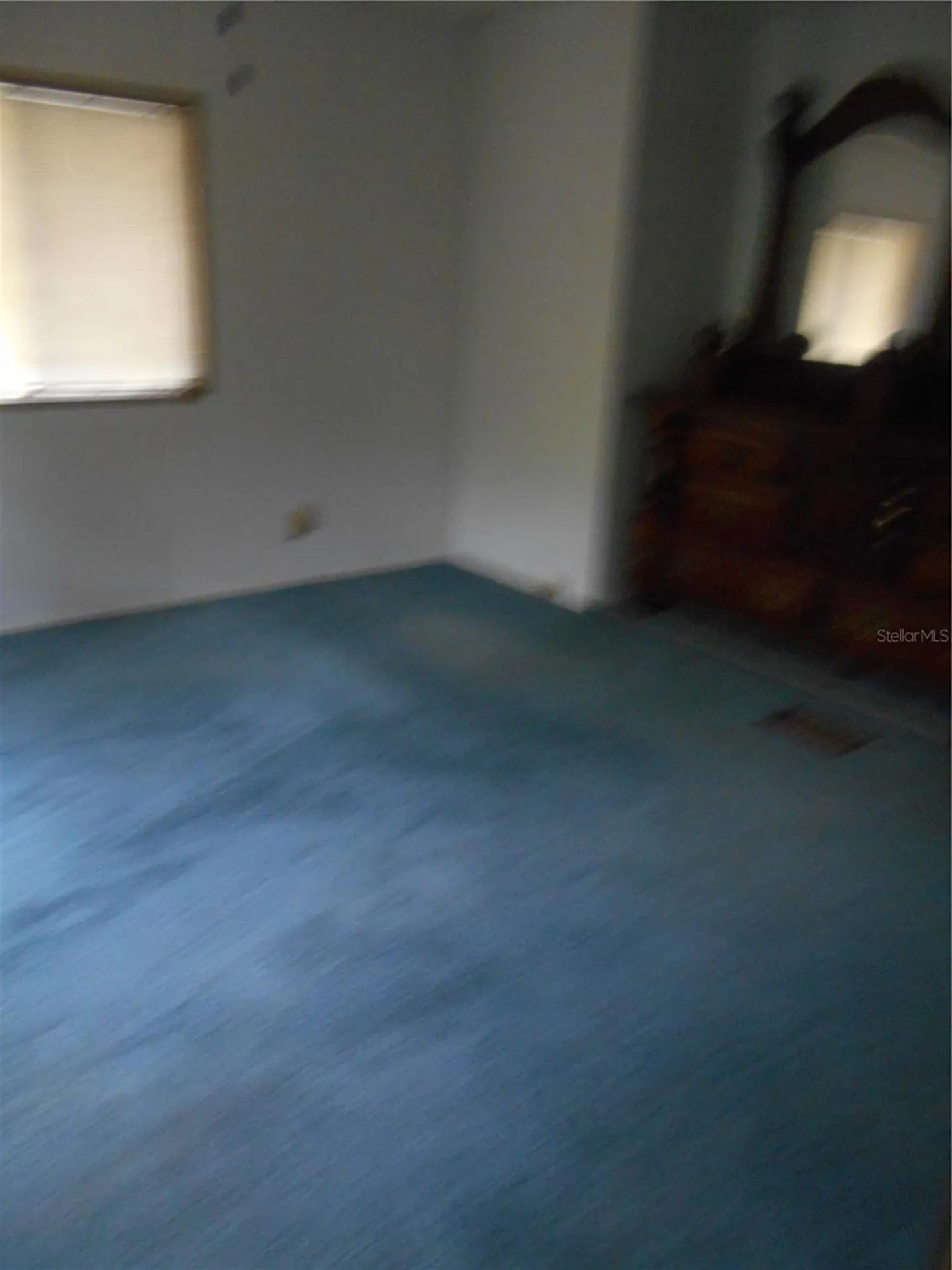 20425 NE 143rd Street Salt Springs FL 32134