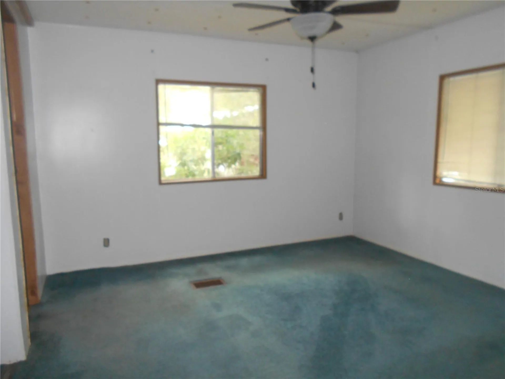 20425 NE 143rd Street Salt Springs FL 32134