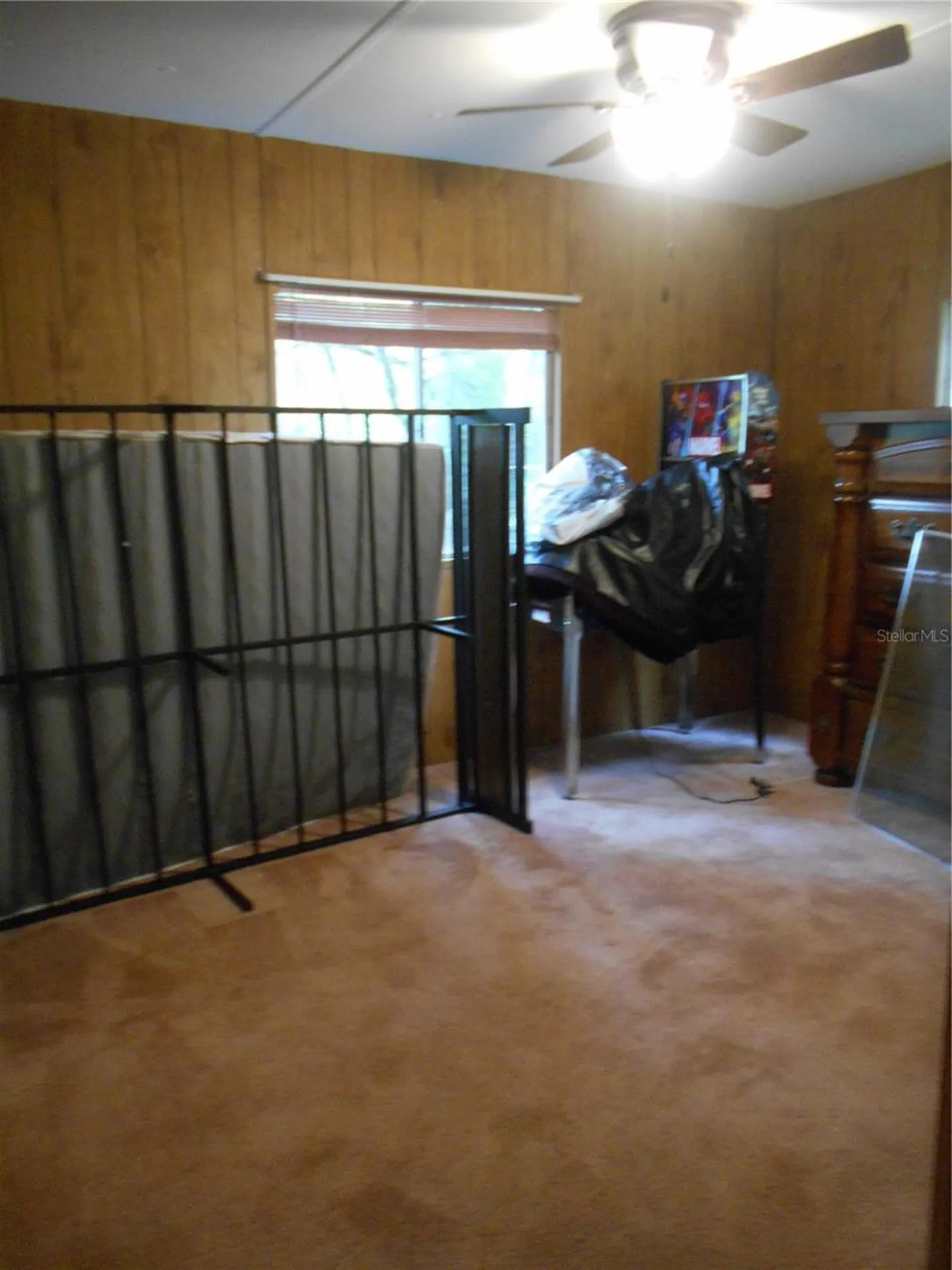 20425 NE 143rd Street Salt Springs FL 32134