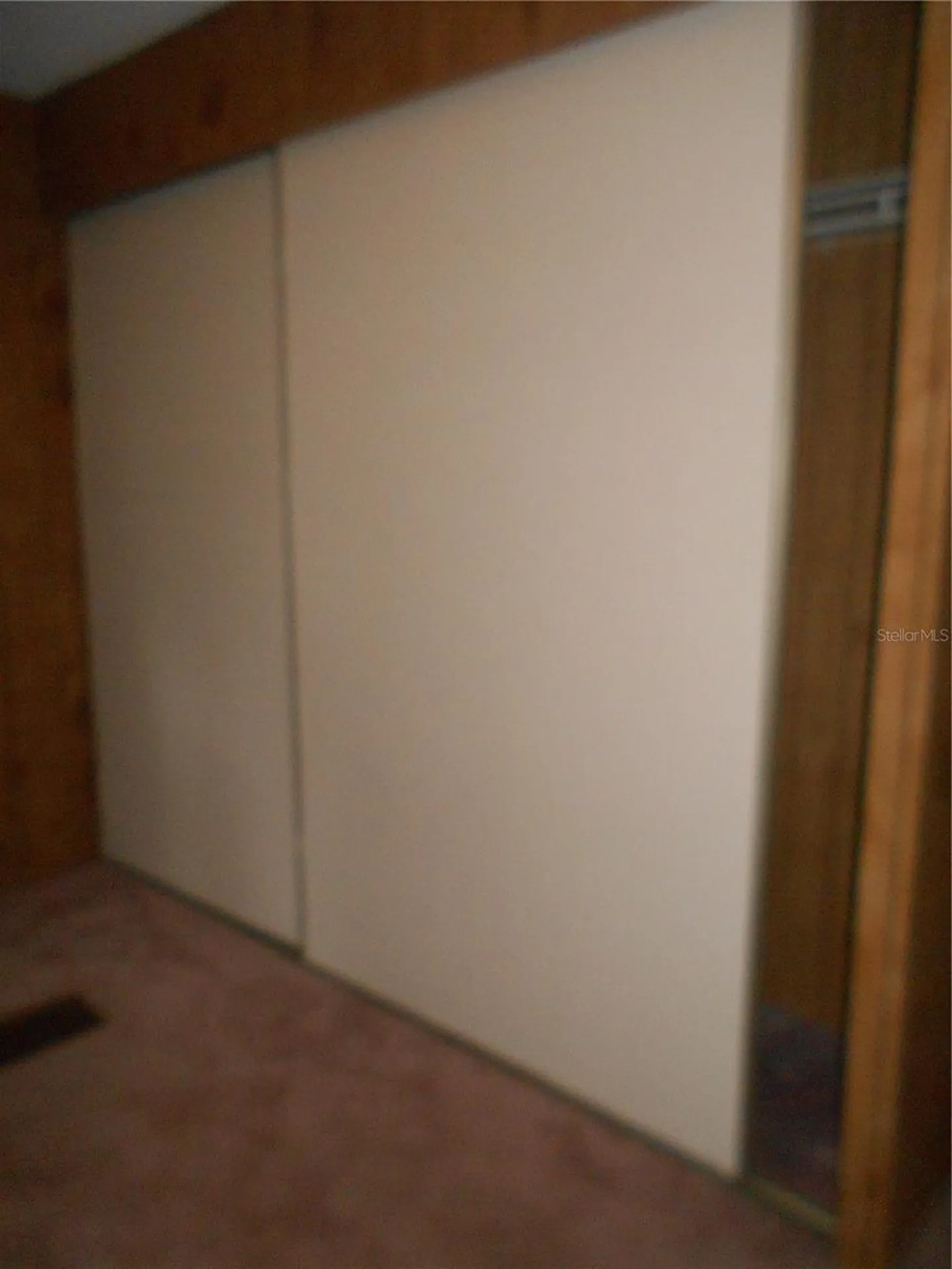 20425 NE 143rd Street Salt Springs FL 32134