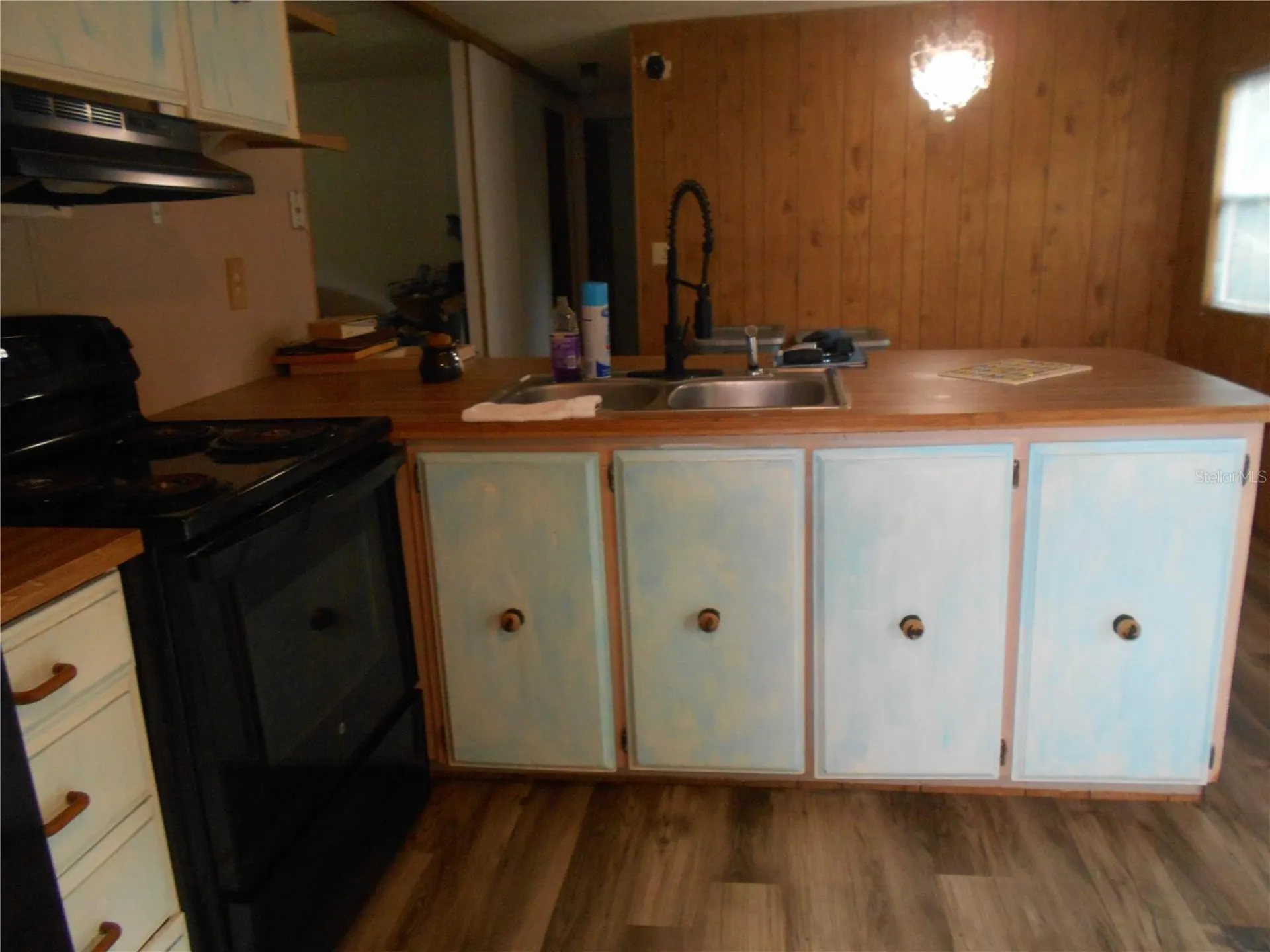 20425 NE 143rd Street Salt Springs FL 32134