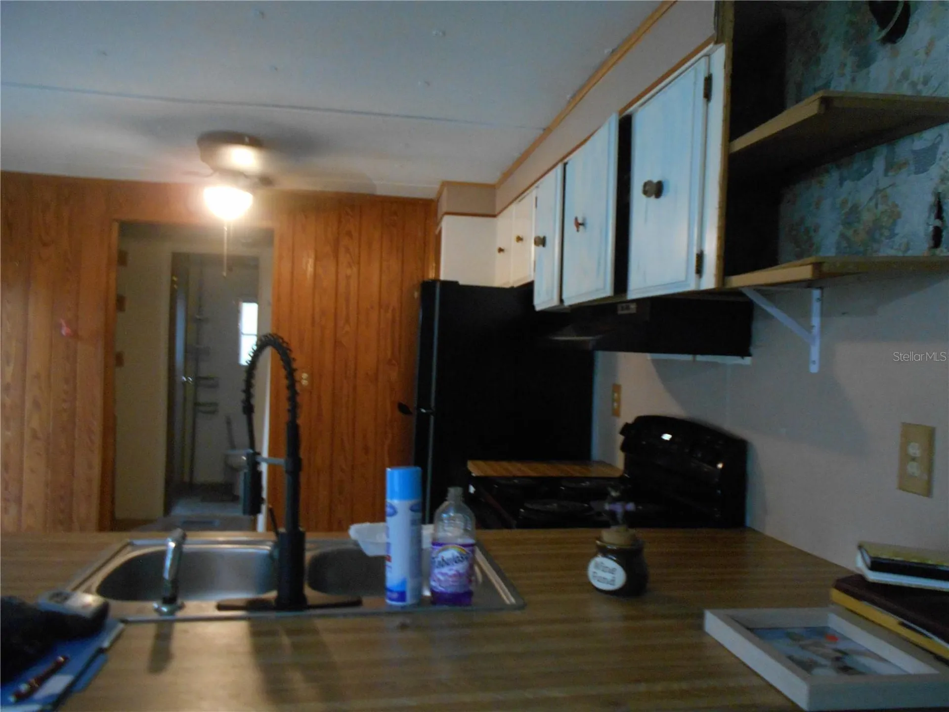 20425 NE 143rd Street Salt Springs FL 32134