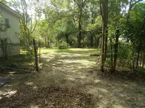 20425 NE 143rd Street Salt Springs FL 32134