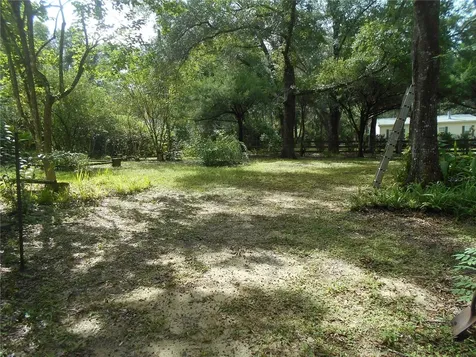 20425 NE 143rd Street Salt Springs FL 32134