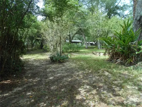 20425 NE 143rd Street Salt Springs FL 32134