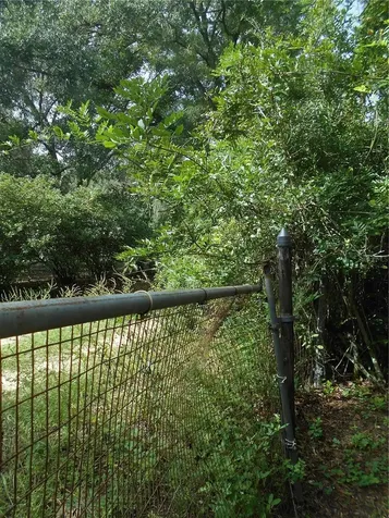 20425 NE 143rd Street Salt Springs FL 32134
