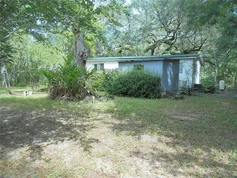 20425 NE 143rd Street Salt Springs FL 32134