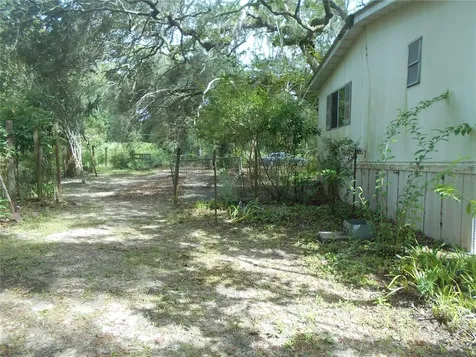 20425 NE 143rd Street Salt Springs FL 32134