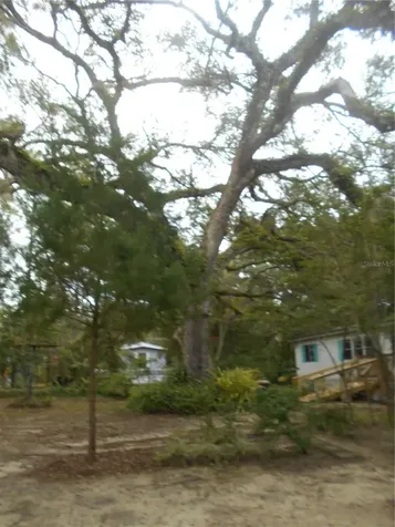 20425 NE 143rd Street Salt Springs FL 32134