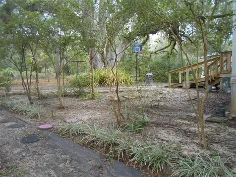 20425 NE 143rd Street Salt Springs FL 32134