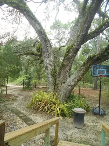 20425 NE 143rd Street Salt Springs FL 32134