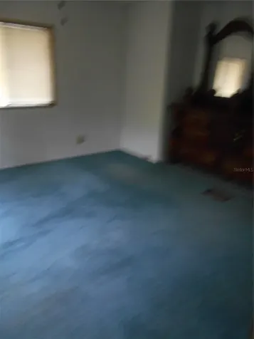 20425 NE 143rd Street Salt Springs FL 32134