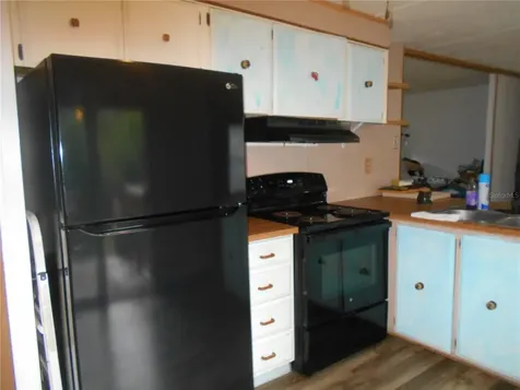 20425 NE 143rd Street Salt Springs FL 32134