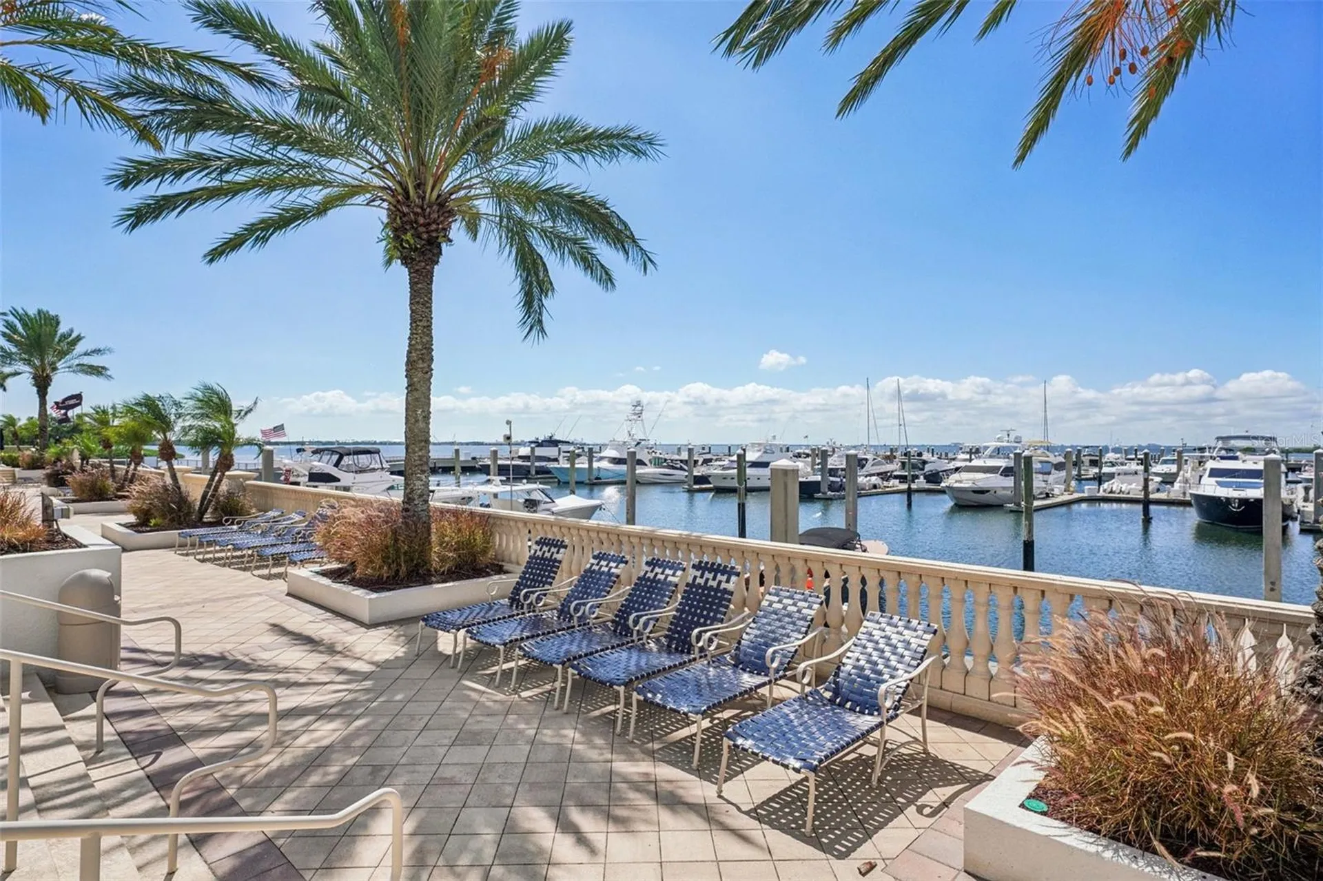 5823 Bowen Daniel Drive Tampa FL 33616