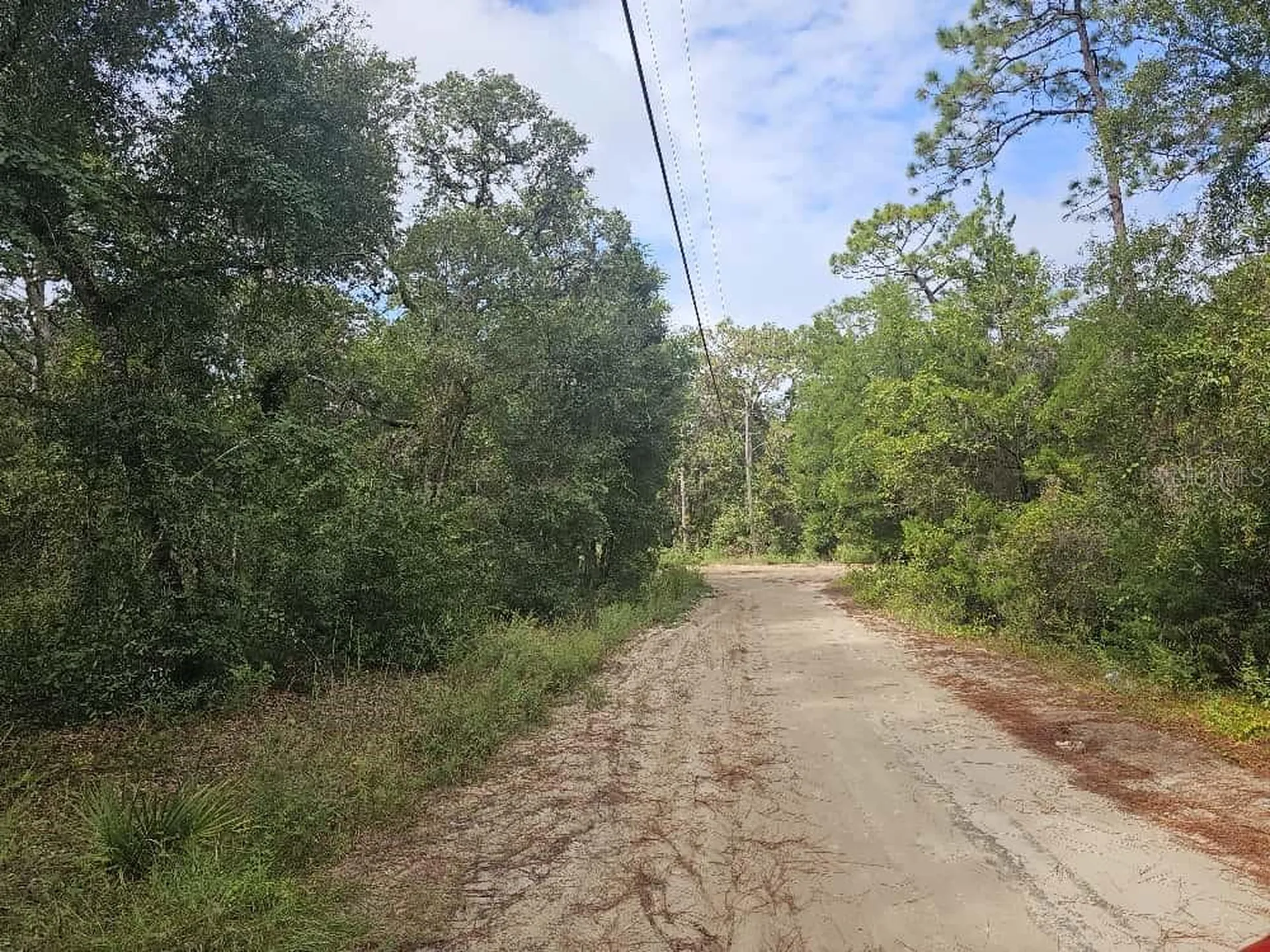SE 92nd Place Ocklawaha FL 32179