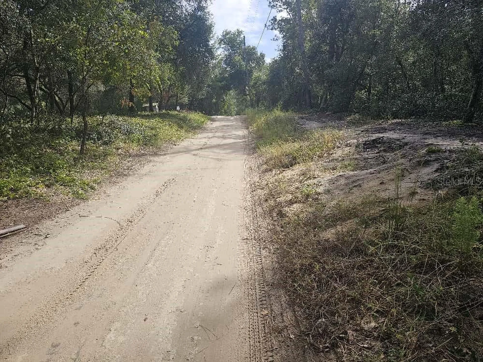 SE 92nd Place Ocklawaha FL 32179