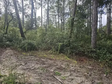 SE 92nd Place Ocklawaha FL 32179
