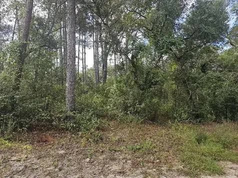SE 92nd Place Ocklawaha FL 32179
