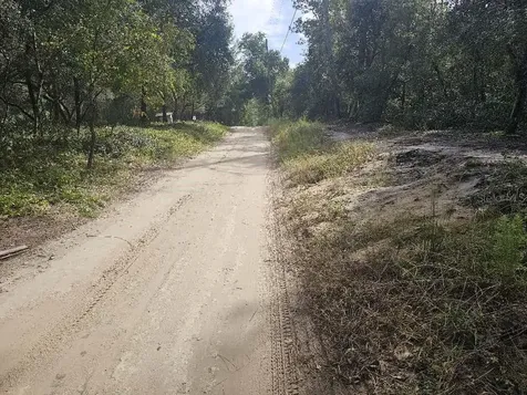 SE 92nd Place Ocklawaha FL 32179