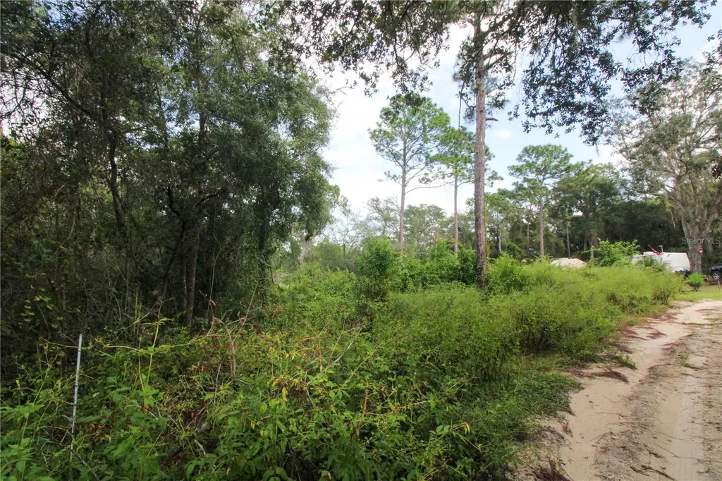 00 SE 10th Street Silver Springs FL 34488
