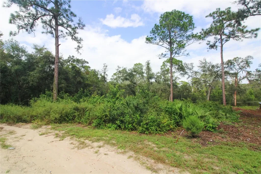 00 SE 10th Street Silver Springs FL 34488