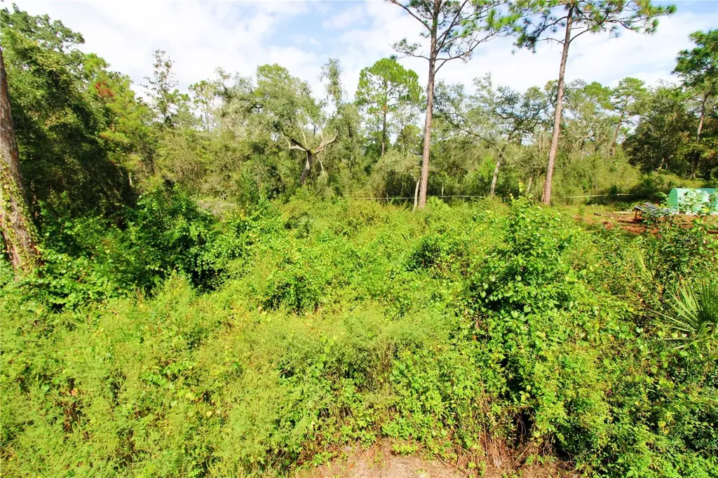 00 SE 10th Street Silver Springs FL 34488