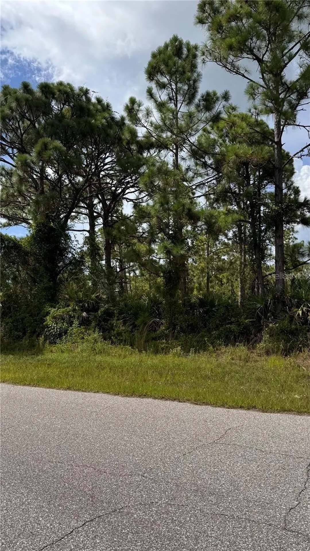 12060 Benham Avenue Port Charlotte FL 33981