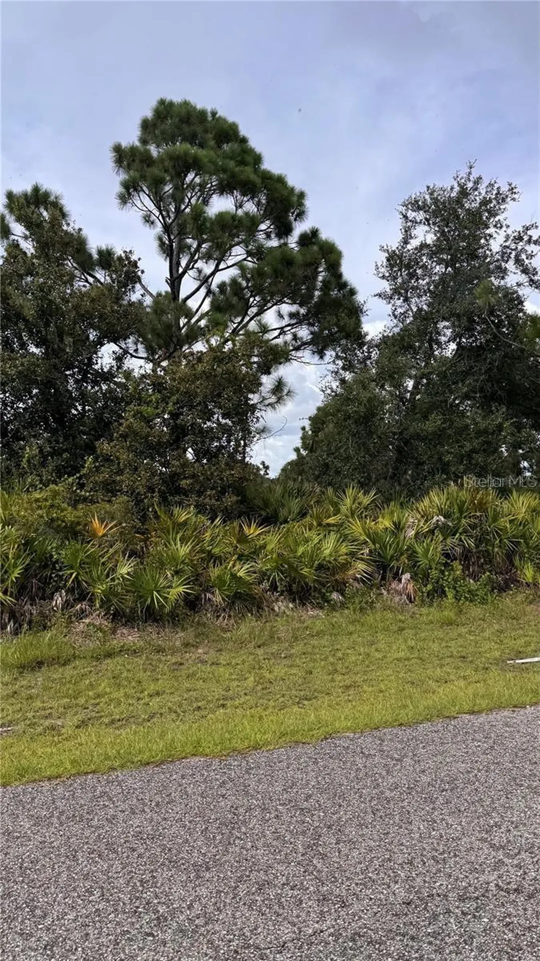 12166 Ashley Avenue Port Charlotte FL 33981