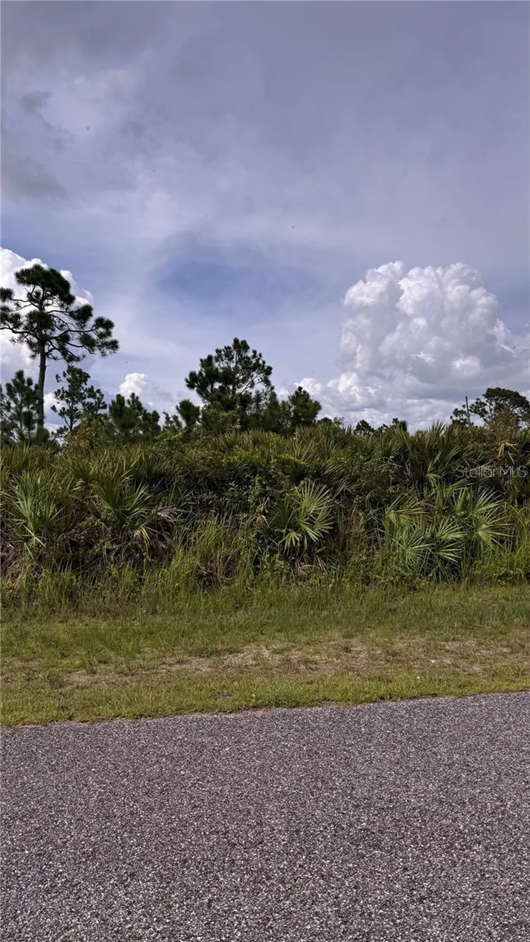 12166 Ashley Avenue Port Charlotte FL 33981