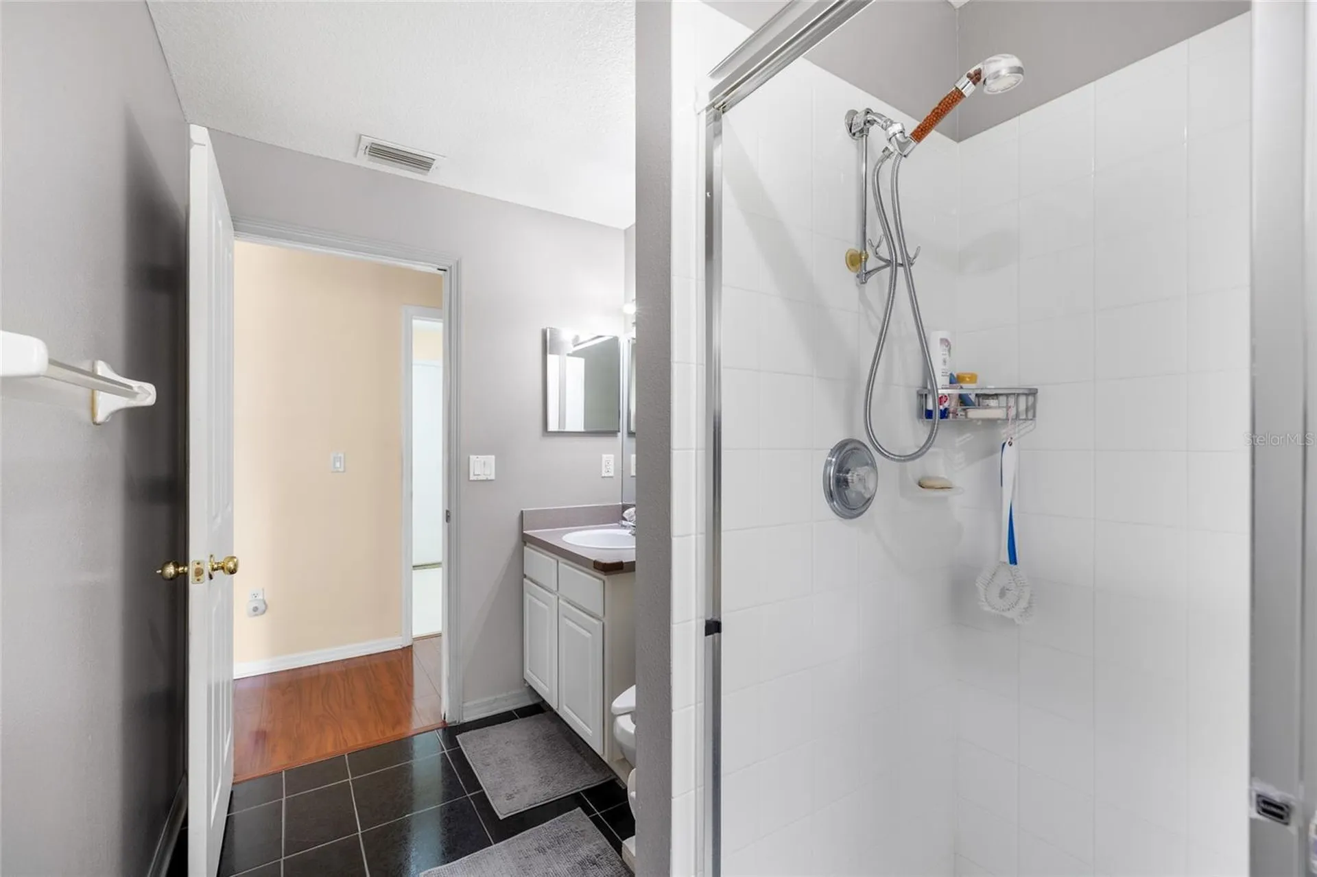 2763 Valencia Grove Drive Valrico FL 33596