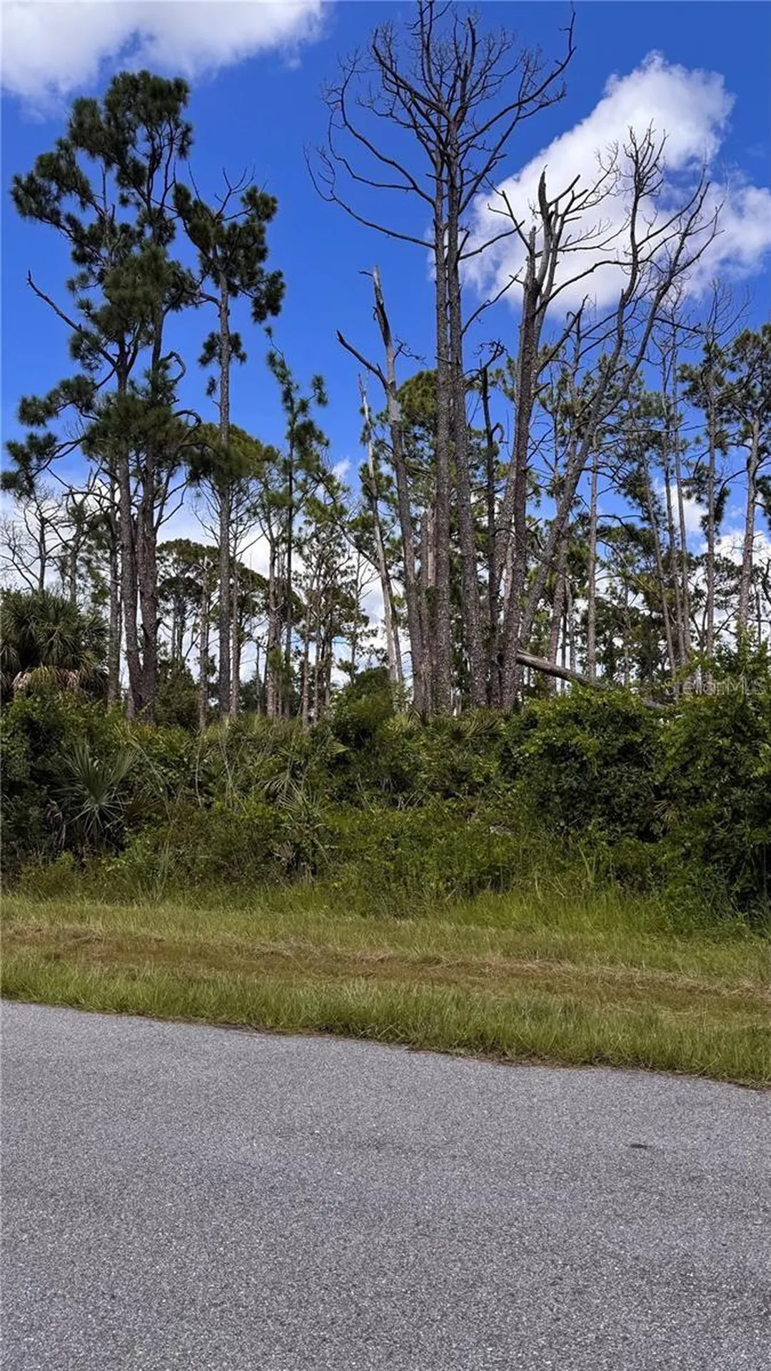 72 Pompano Street Port Charlotte FL 33953