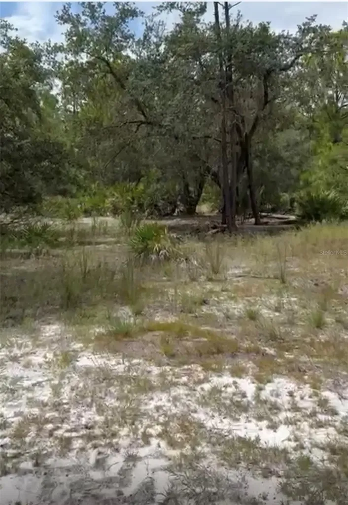 Orchid Drive Indian Lake Estates FL 33855