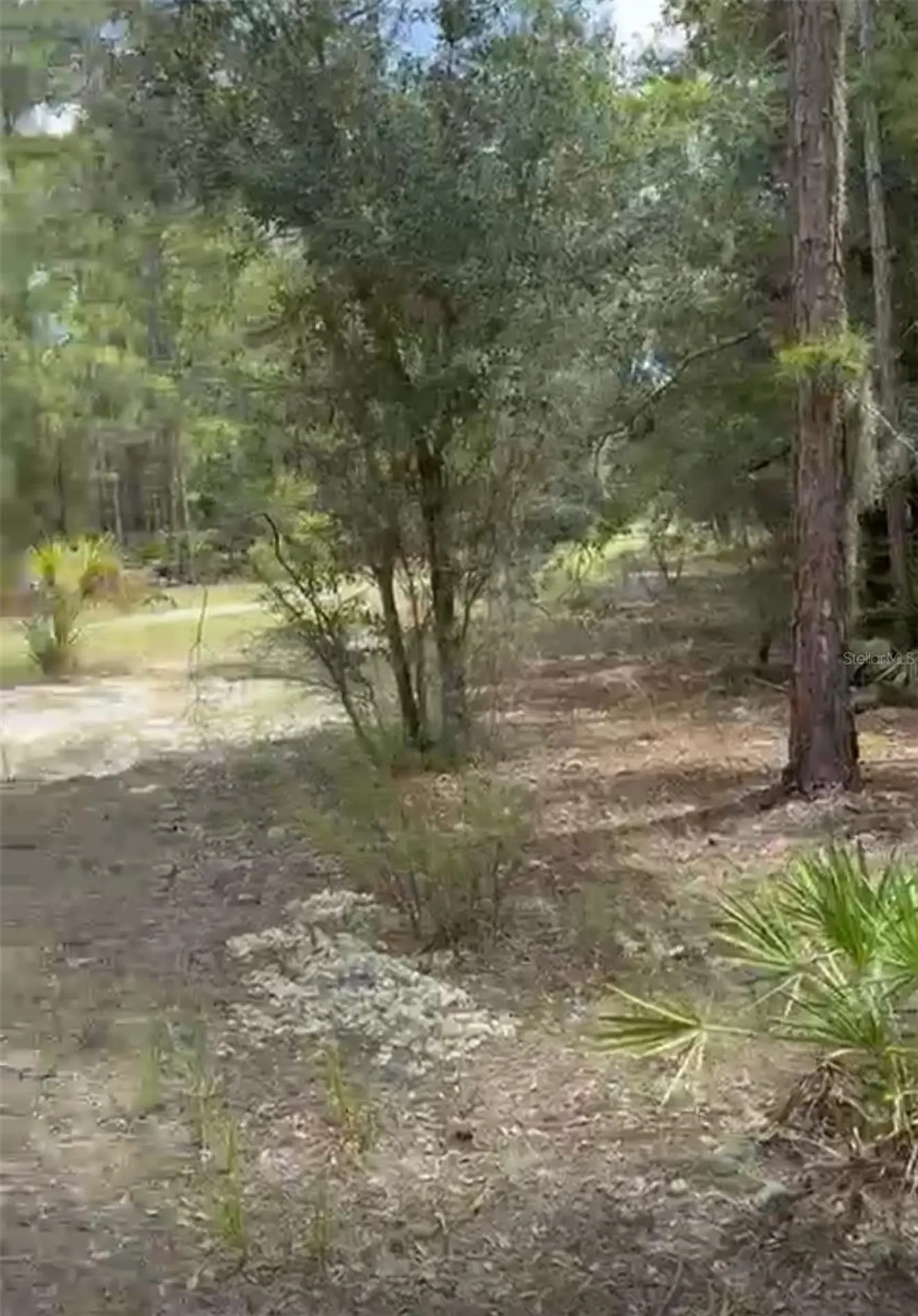 Orchid Drive Indian Lake Estates FL 33855