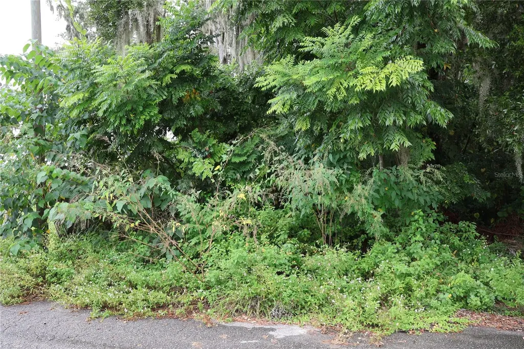 3330 SE 11th Avenue Ocala FL 34471