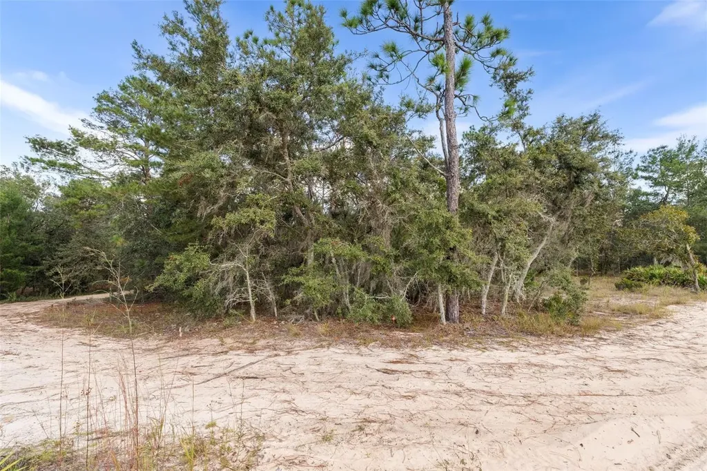0 NE 75 Street Bronson FL 32621