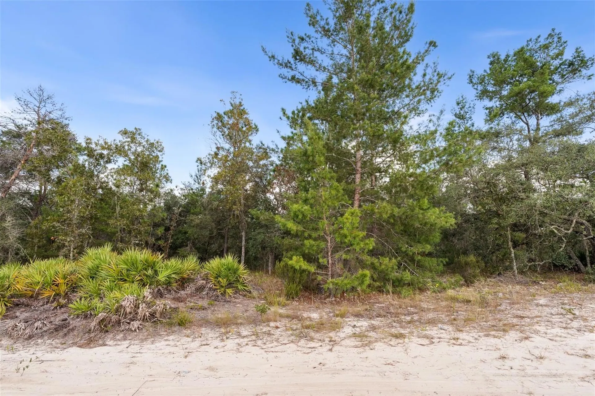 0 NE 75 Street Bronson FL 32621