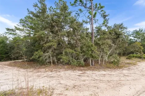 0 NE 75 Street Bronson FL 32621