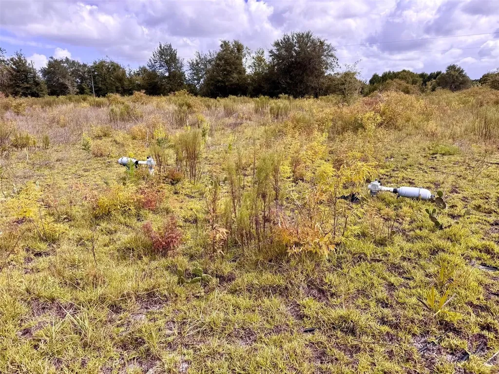 14385 SW Highway 484 Dunnellon FL 34432