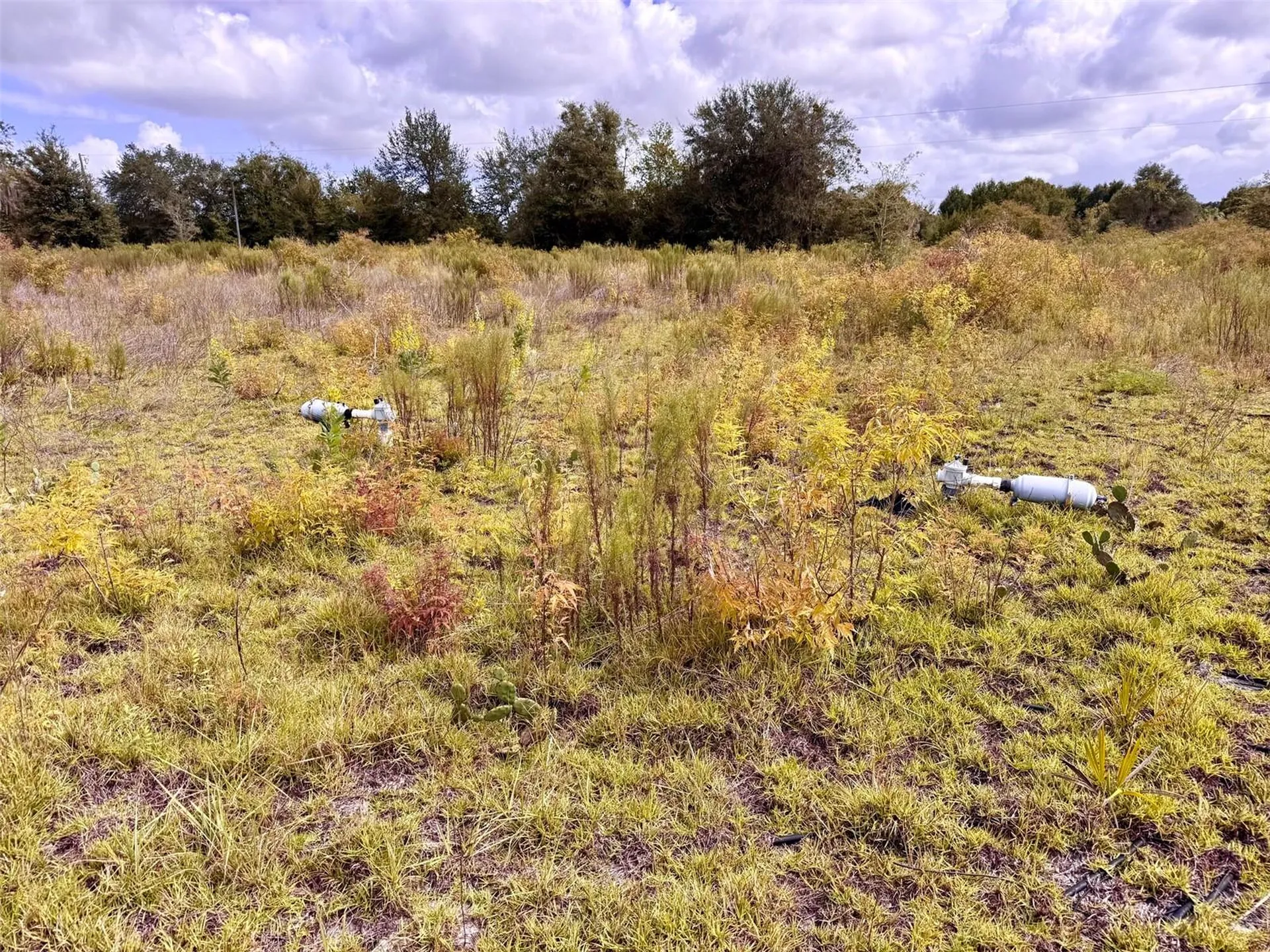14385 SW Highway 484 Dunnellon FL 34432