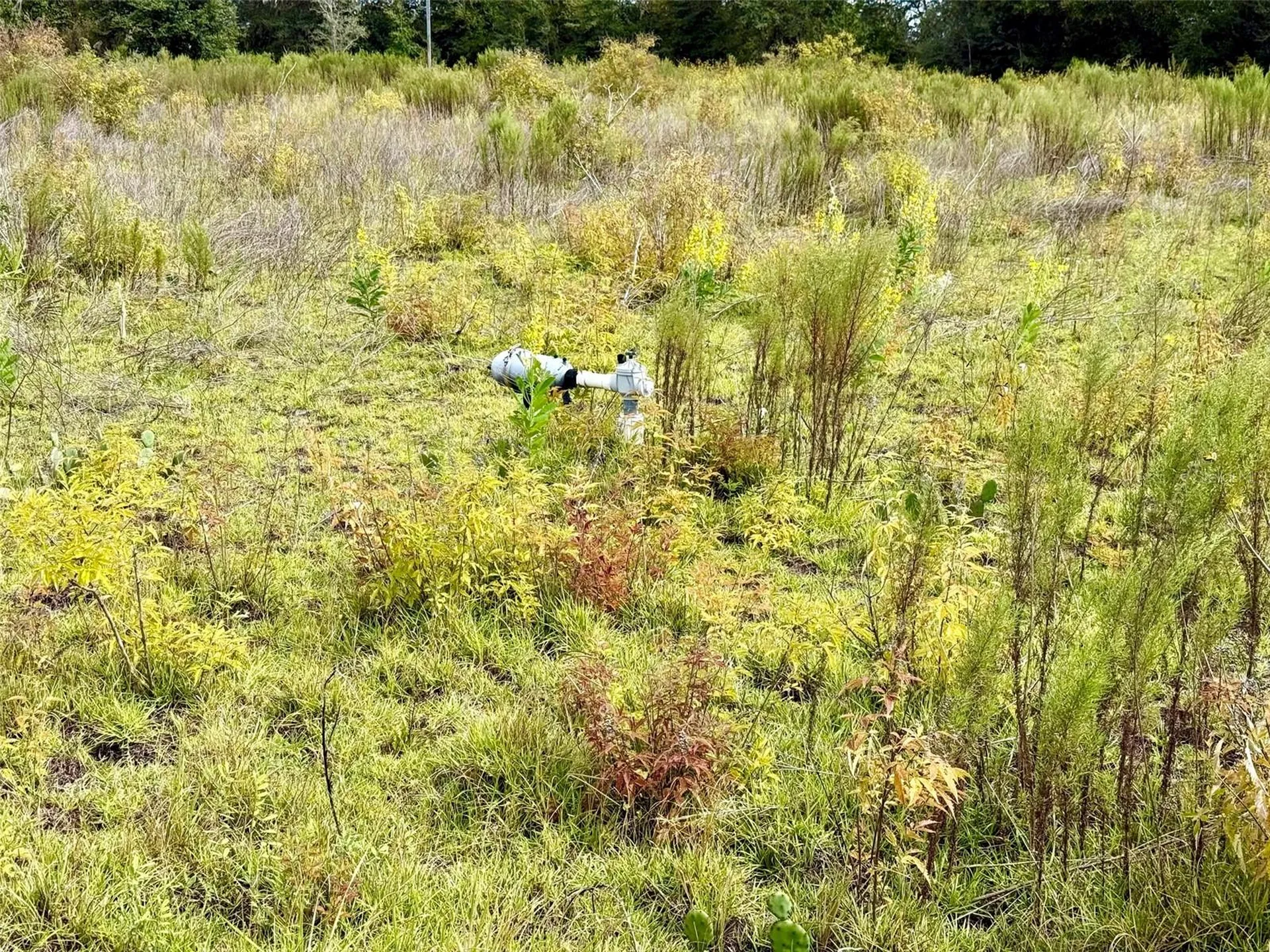 14385 SW Highway 484 Dunnellon FL 34432