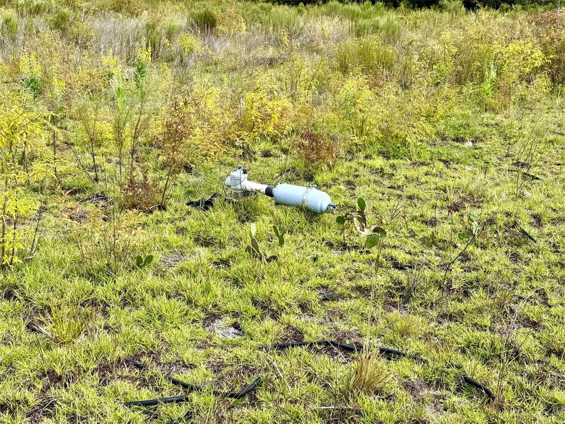 14385 SW Highway 484 Dunnellon FL 34432