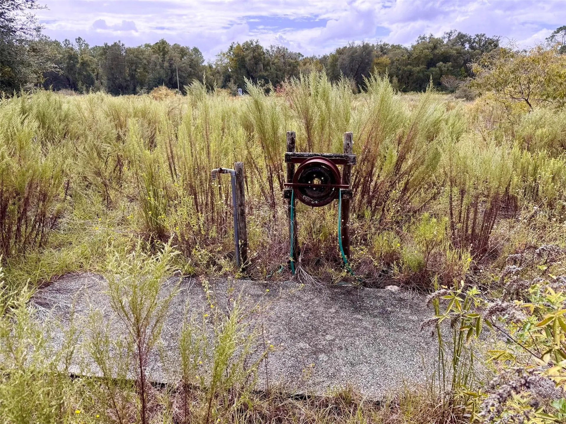 14385 SW Highway 484 Dunnellon FL 34432