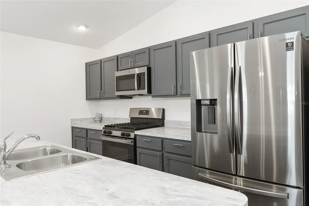 3818 Miragalia Lane The Villages FL 32163