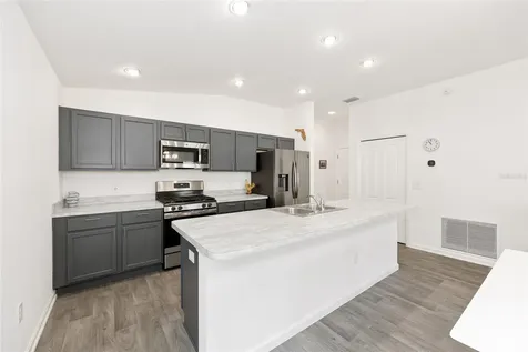 3818 Miragalia Lane The Villages FL 32163
