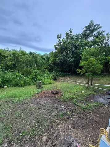 1 Aibonito Ward Camuy PR 00627