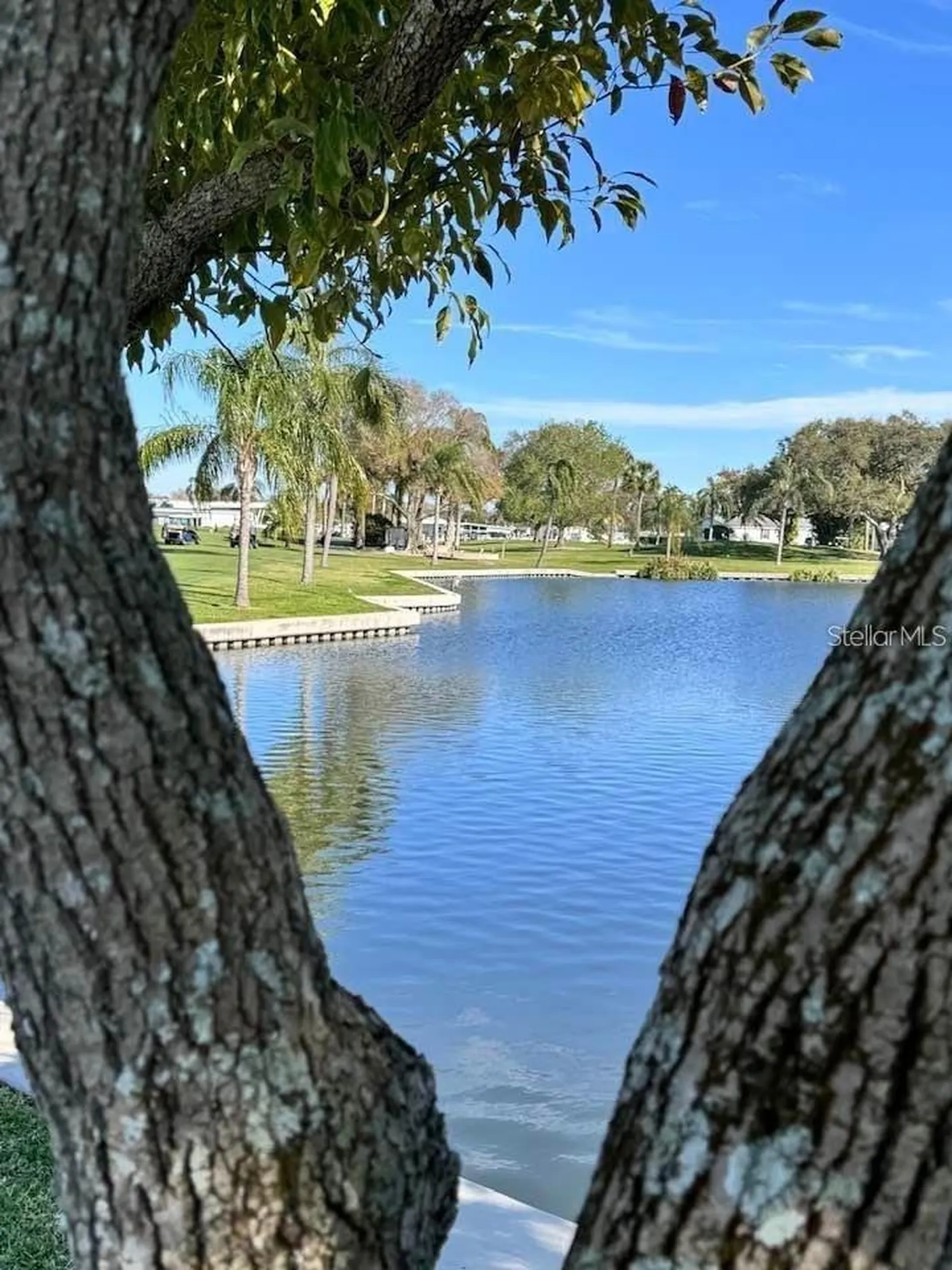 1100 Belcher Road S Largo FL 33771