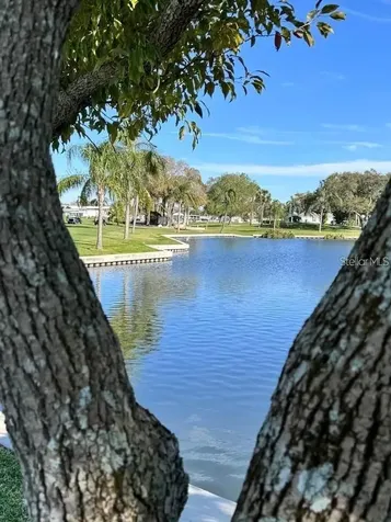 1100 Belcher Road S Largo FL 33771
