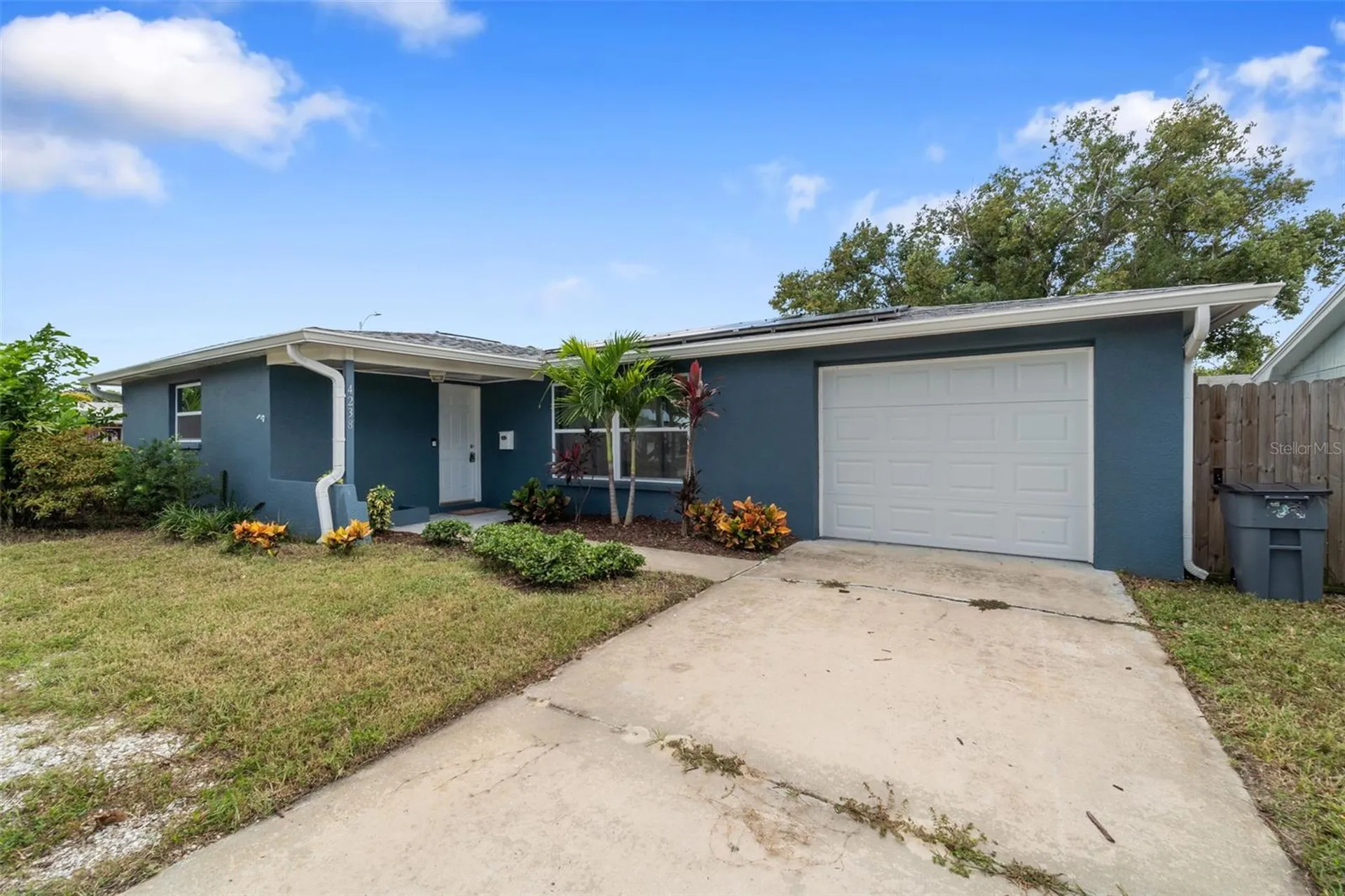 4238 Glissade Drive New Port Richey FL 34652