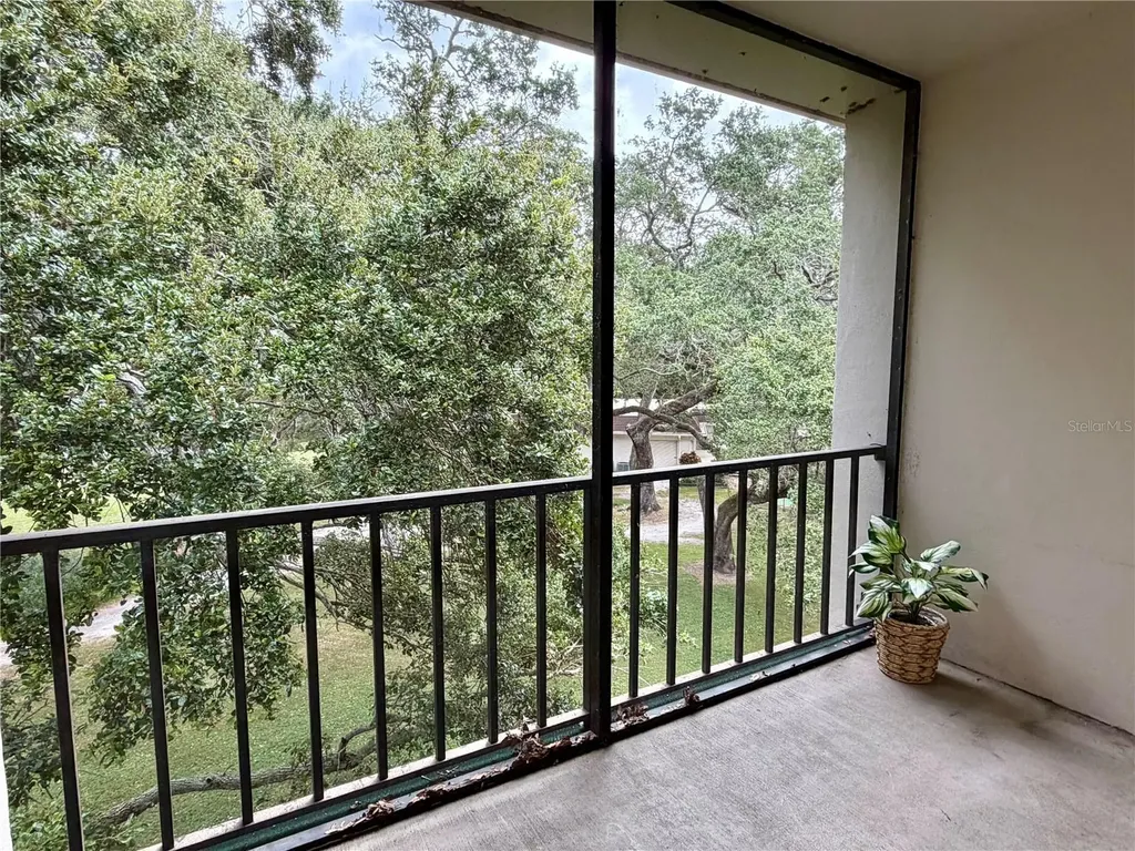 870 Virginia Street Dunedin FL 34698